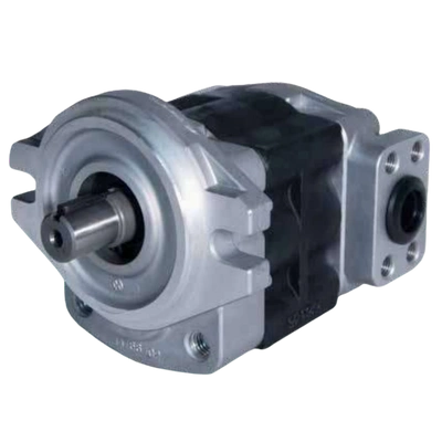Bomba de engranes externos Serie NASGP 1A